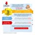 Newsletter 2